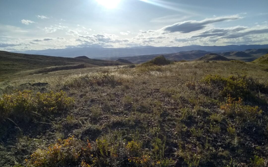 The Fragrance of Prayer