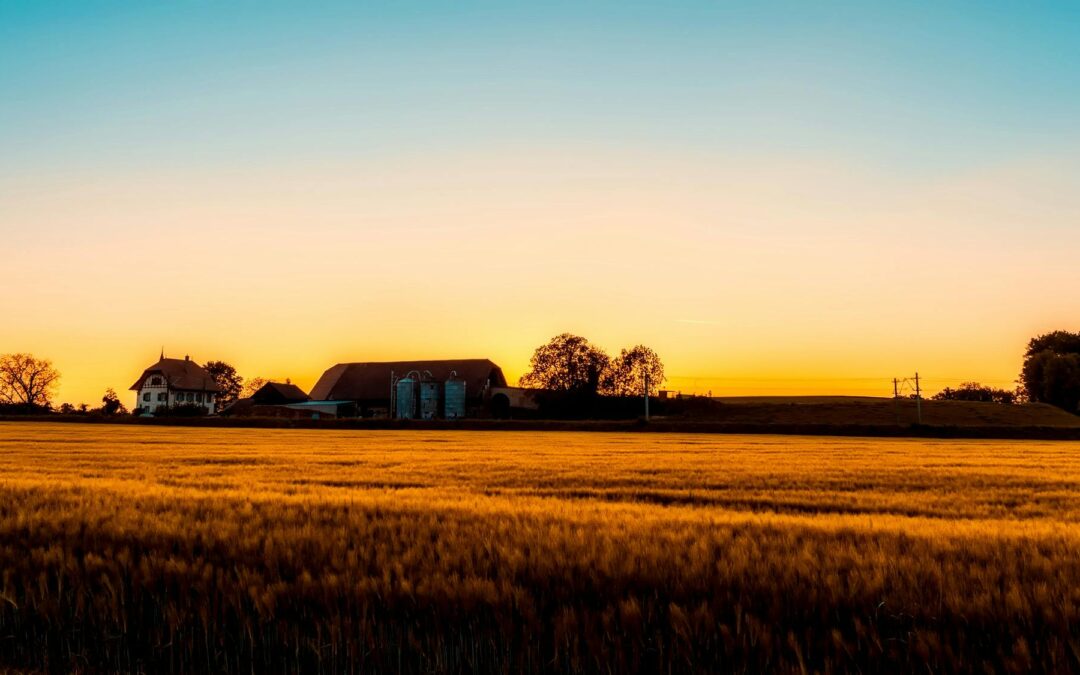 April, Give Me Your Love