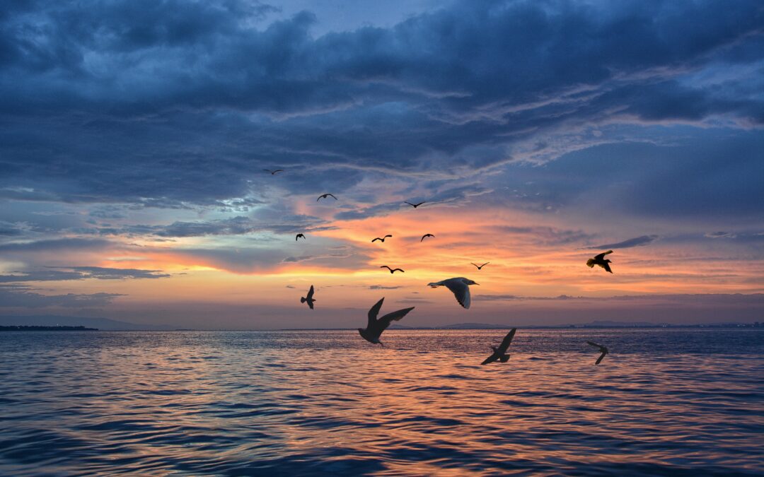 Never Known a Woman So Alive